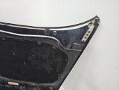 Capota motor Skoda Octavia 2 (1Z3) [Fabr 2004-2013] Sedan VRS LF9R