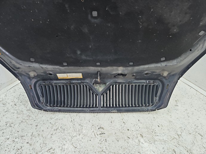 Capota motor Skoda Octavia 2 (1Z3) [Fabr 2004-2013] Sedan VRS LF9R