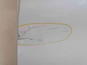 Usa stanga spate LA7W Volkswagen Passat B6 (3C2) [Fabr 2005-2010]