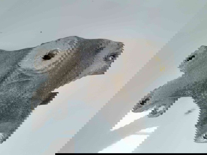 Suport motor 8K0199308AL Audi A4 (8K2, B8) [Fabr 2008-2015] 2.0