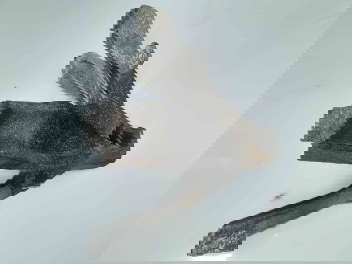 Suport motor 8K0199308AL Audi A4 (8K2, B8) [Fabr 2008-2015] 2.0