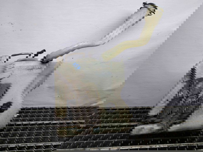  Vas lichid parbriz Mercedes Clasa CLK (C209) [Fabr 2002-2009] 2038600360