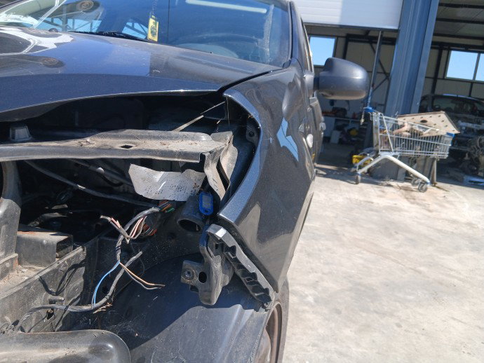 Aripa stanga fata Dacia Sandero [Fabr 2008-2012] Berlina cu hayon NV676