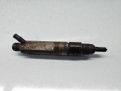 Injector Volkswagen Bora (1J2) [Fabr 1998-2005] 028130202P 1.9 TDI ALH 66KW / 90CP