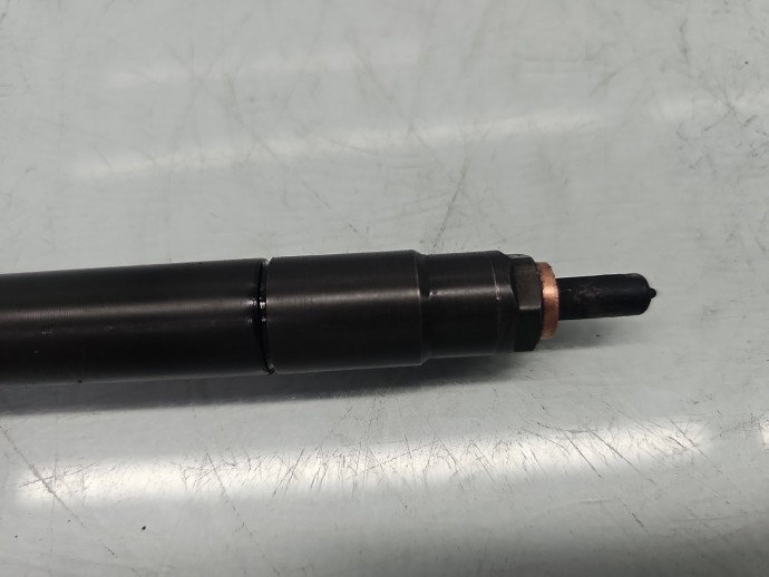 Injector Chevrolet Captiva (T100) [Fabr 2006-2018] 25183185 2.0 Z20D1 120KW / 163CP