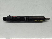 Injector Renault Megane 3 [Fabr 2008-2015] 166000897R 1.5 dCi K9K-H8 66KW / 90CP