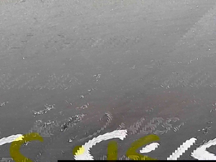 Tapiterie usa stanga spate 8K0867305 Audi A4 (8K2, B8) [Fabr 2008-2015] 2.0