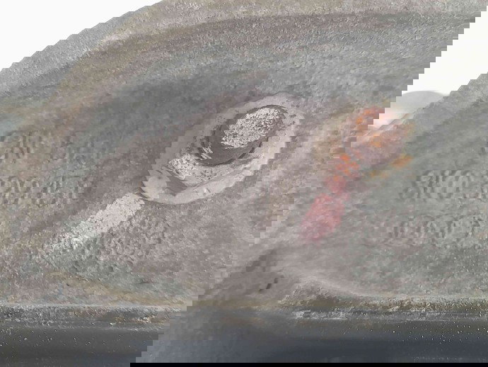 Suport cutie viteze 8K0399151 AUDI A6 (4G5, C7) [Fabr 2011-2017] 3.0 CTCC