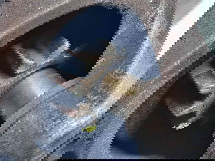  Electromotor 10 dinti Ford Focus 2 (DA) [Fabr 2004-2012] 8V21-11000-BD 1.6 PFI C16HDEZ 74KW / 101CP  