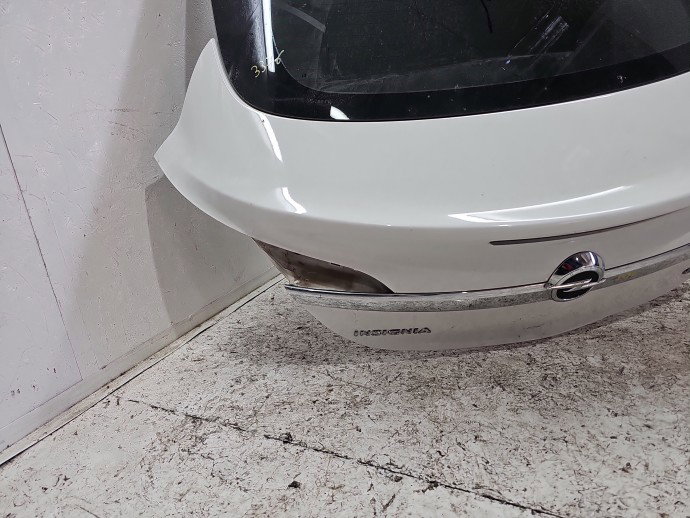 Haion Opel Insignia A [Fabr 2008-2016] Berlina Facelift GAZ