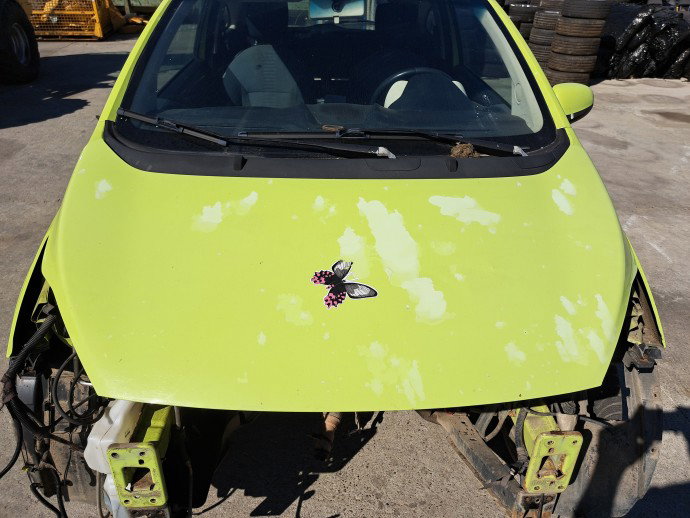 Capota motor Ford Ka (RU8) [Fabr 2008-2016] Hatchback VERDE
