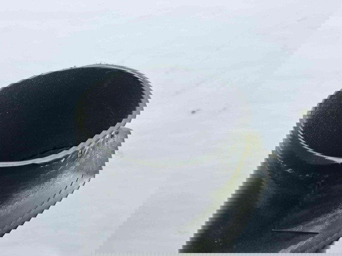 Tub admisie aer Ford Focus 2 (DA) [Fabr 2004-2012] 7M51-9A673-BF 1.6 PFI C16HDEZ  