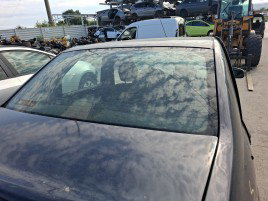 Luneta Dacia Logan (LS) [Fabr 2004-2012] Berlina OEM