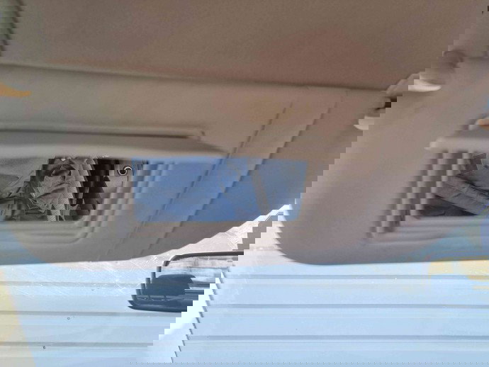  Parasolar stanga Citroen C4 (I) [ Fabr 2004-2011] OEM