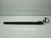 Amortizor haion Volkswagen Tiguan II (AX1) [Fabr 2016-2024] Break 5NA827851B