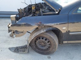 Aripa stanga fata PEUGEOT 407 [Fabr 2004-2010] EXL