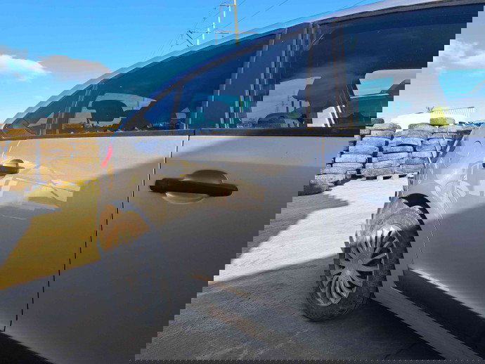 Usa dreapta spate Citroen C4 (I) [ Fabr 2004-2011] EZR