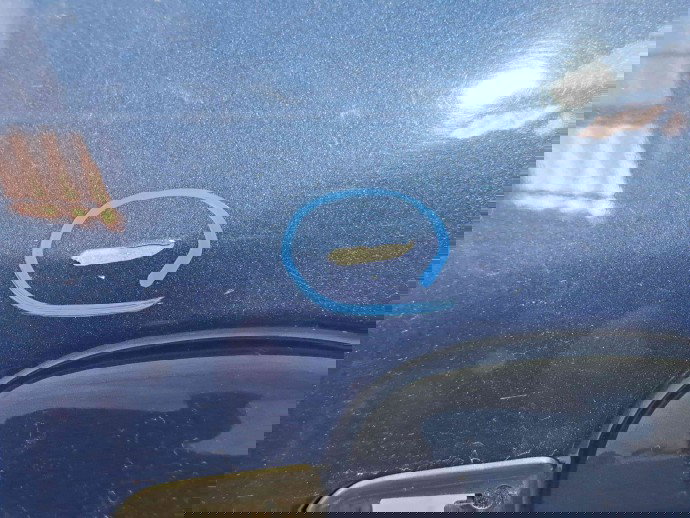 Usa stanga spate Ford Focus 2 (DA) [Fabr 2004-2012] OCEAN BLUE METTALIC