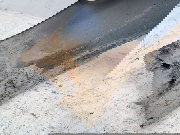 Aripa stanga fata Ford Focus 2 (DA) [Fabr 2004-2012] OCEAN BLUE METTALIC