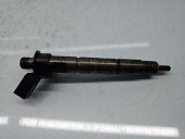 Injector Bmw 5 (F10) [Fabr 2011-2016] 7823461 3.0 N57D30T1 230KW / 313CP