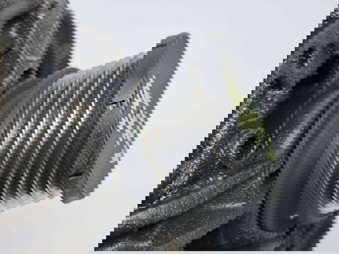 Alternator Mercedes Sprinter 3.5-t (906) [Fabr 2006-2013] A6461540002 2.2 CDI 646985 80KW / 109CP  