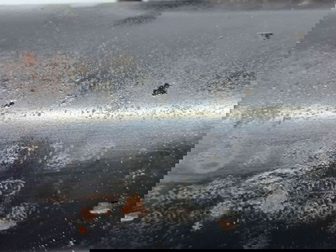  Electromotor 12 dinti Mercedes Sprinter 3.5-t (906) [Fabr 2006-2013] A0061517401 2.2 CDI 646985 80KW / 109CP  