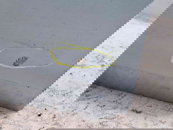 Usa stanga fata Ford Focus 2 (DA) [Fabr 2004-2012] OEM