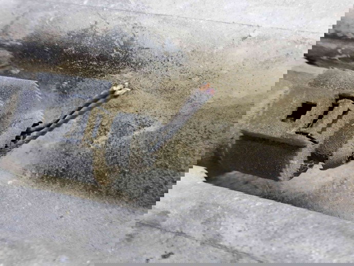  Vas lichid parbriz Mercedes Sprinter 3.5-t (906) [Fabr 2006-2013] A9068690020