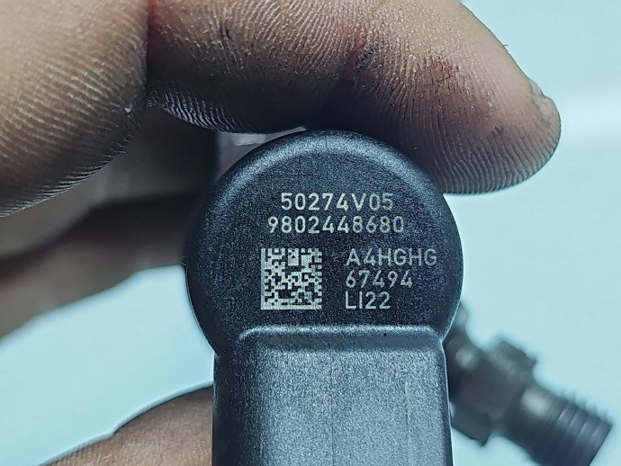 Injector Citroen C5 (III) [Fabr 2008-2017] 9802448680 1.6 HDI 9HR 84KW / 114CP