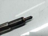 Injector Citroen C3 (II) [Fabr 2009-2016] 9802448680 1.6 HDI 9HR 84KW / 114CP