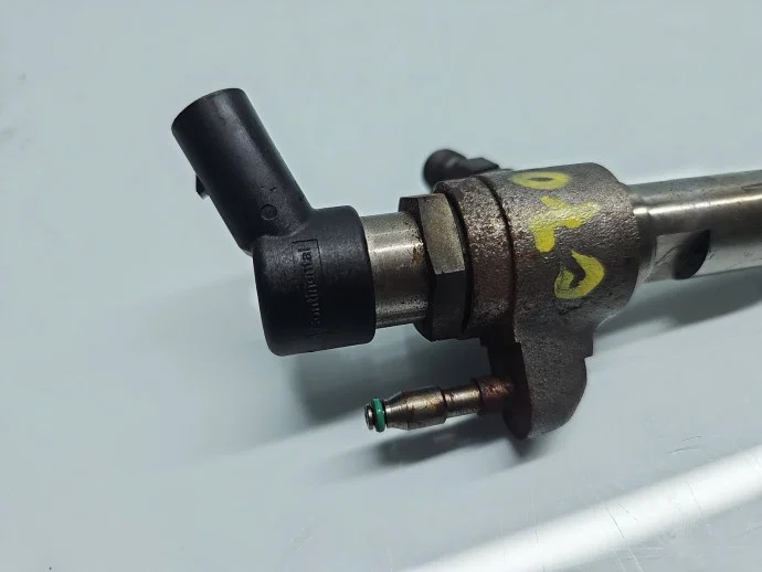 Injector Citroen DS5 [Fabr 2015-2018] 9802448680 1.6 HDI 9HR 84KW / 114CP