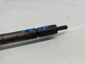 Injector PEUGEOT 307 [Fabr 2000-2008] 0445110188 1.6 TDCI G8DB 80KW / 109CP