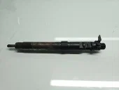 Injector Ford Kuga I [Fabr 2008-2012] 9686191080 2.0 TDCI TXDA 120KW / 163CP