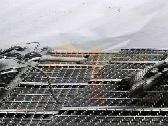 Turbina Volkswagen Passat B6 Variant (3C5) [Fabr 2005-2010] 03L253016F 2.0 TDI CBAB 103KW / 140CP  