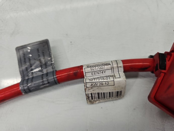 Borna baterie (+) Bmw X1 9217018