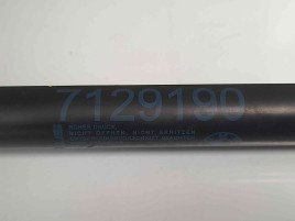 Amortizor capota 7129190 Bmw 3 (E90) [Fabr 2005-2011] 2.0 N47