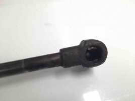 Amortizor capota 7129190 Bmw 3 (E90) [Fabr 2005-2011] 2.0 N47