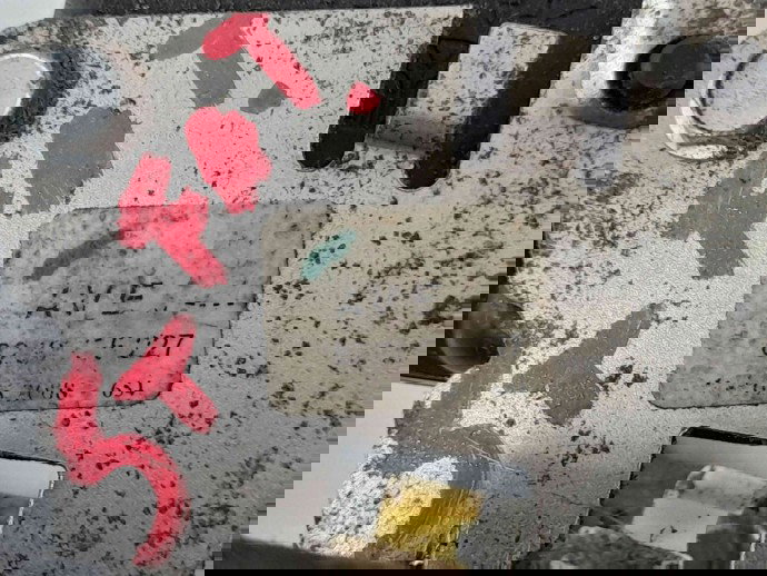 Broasca usa stanga fata 8200735227 Dacia Sandero [Fabr 2008-2012] 1.6 mpi 