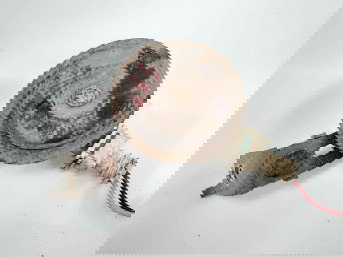 Claxon OEM Dacia Sandero [Fabr 2008-2012] 1.6 mpi 