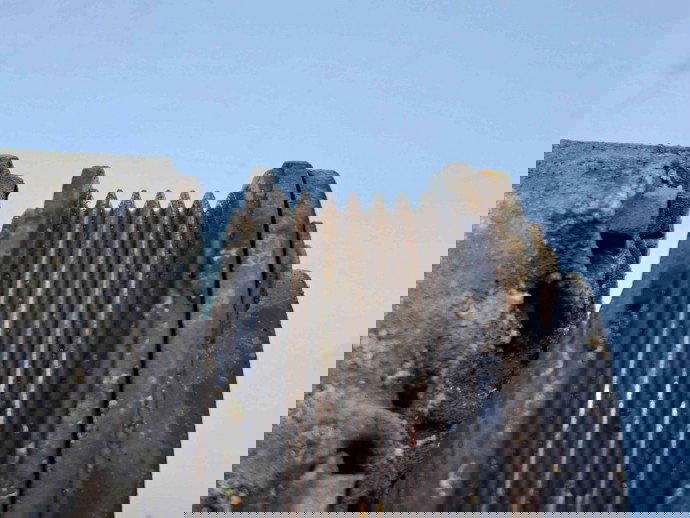 Compresor clima Ford Focus 3 (CB8) [Fabr 2011-2015] AV11-19D629-BA 1.6 T1DA 85KW / 115CP  