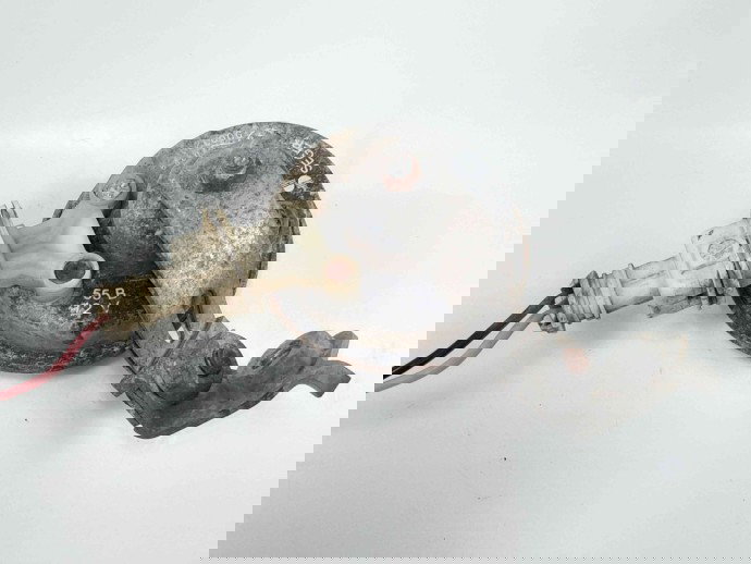 Claxon OEM Dacia Sandero [Fabr 2008-2012] 1.6 mpi 