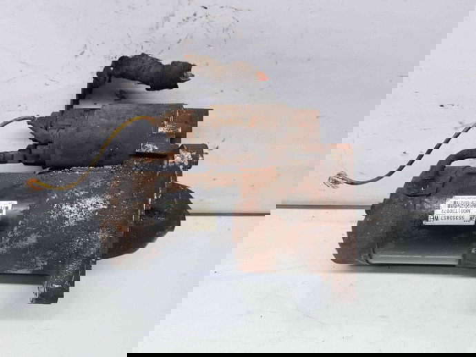  Electromotor 10 dinti Opel Insignia A [Fabr 2008-2016] 55353857 2.0 TDI A20DTH   2.0 TDI A20DTH110KW / 150CP