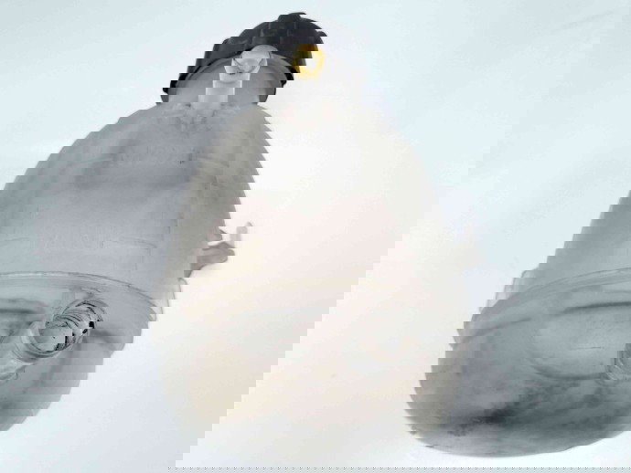 Vas expansiune 8200766826 Dacia Sandero [Fabr 2008-2012] 1.6 mpi