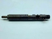 Injector Renault Kangoo 2 Maxi (F61) [Fabr 2008-2022] 166000897R | 28237259 1.5 DCI K9K808  1.5 DCI K9K808 80KW / 109CP