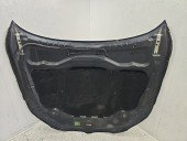 Capota motor Bmw e60 CARBONSCHWARZ METALLIC (416)
