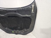 Capota motor Bmw e60 CARBONSCHWARZ METALLIC (416)