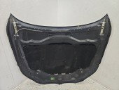 Capota motor Bmw e60 CARBONSCHWARZ METALLIC (416)