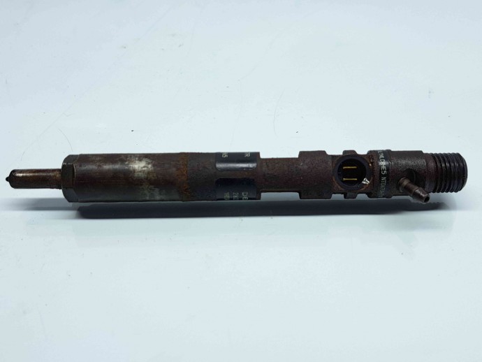 Injector Renault Kangoo 2 Maxi (F61) [Fabr 2008-2022] 166000897R | 28237259 1.5 DCI K9K808  1.5 DCI K9K808 80KW / 109CP