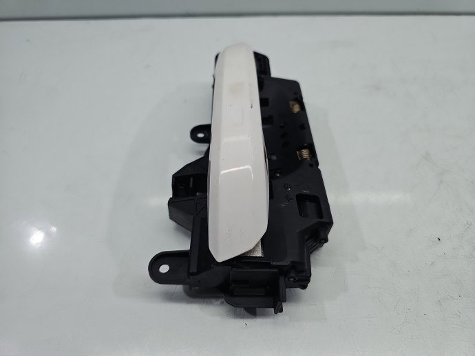 Maner usa dreapta spate AUDI A4 8W2 LY9C