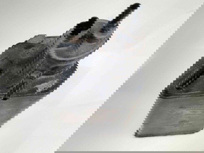 Canistra carbon 8200701972 Dacia Sandero [Fabr 2008-2012] 1.6 mpi